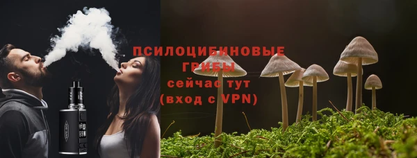а пвп мука Бугульма