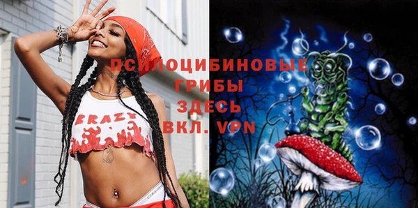 бошки Бородино