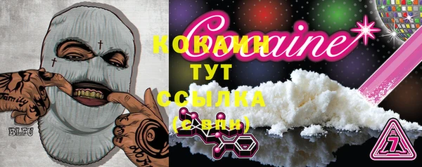 бошки Бородино