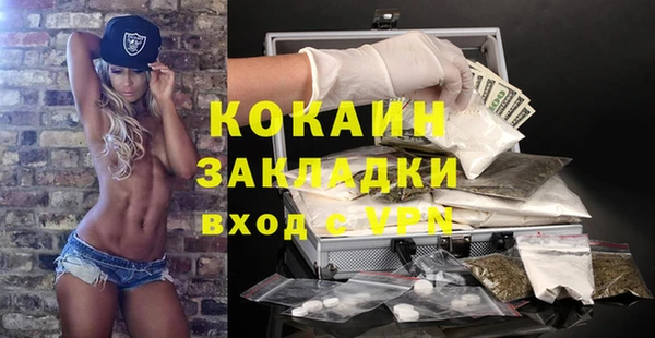 бошки Бородино