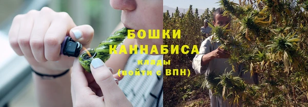бошки Бородино