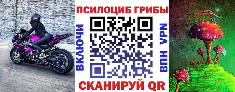 Псилоцибиновые грибы ЛСД  Ставрополь 